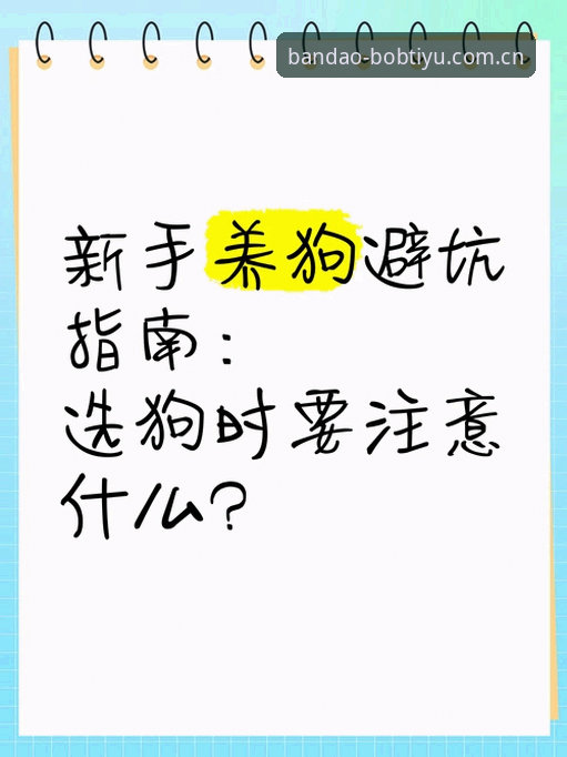 半岛体育官方APK安装包怎么选？不交学费的新手避坑指南