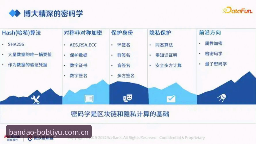 半岛·体育bob中国主页对比分析：最新数据、下载与用户场景实测